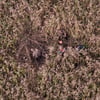Feuerwehr ortet mit Drohne vermissten Jagdhund