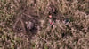 Das Drohnenbild der Feuerwehr zeigt Helfer am Fundort des vermissten Jagdhundes.