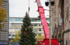 Wieder mit Panne: Weihnachtsbaum am Breitscheidplatz steht
