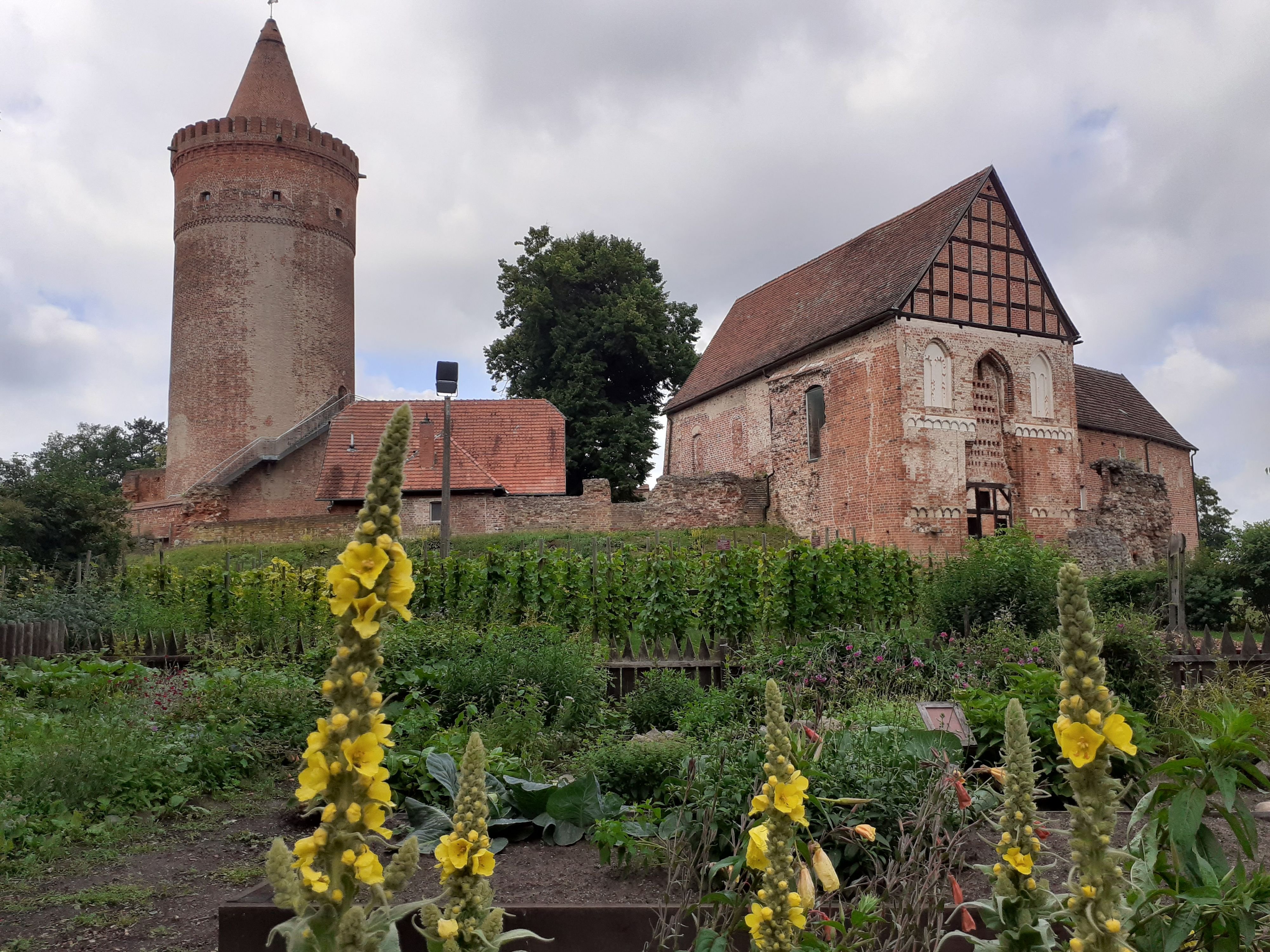 Bürgerempfang auf der Burg Stargard mit Live-Band