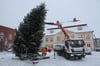 Am Mittwochvormittag stellte der Bauhof den Tannenbaum für den Loitzer Weihnachtsmarkt 2023 vorm Rathaus auf. Das Gewächs stammt diesmal aus Reinberg.