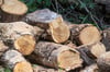 Auch zu Holzdiebstählen kommt es in diesem Jahr vermehrt.