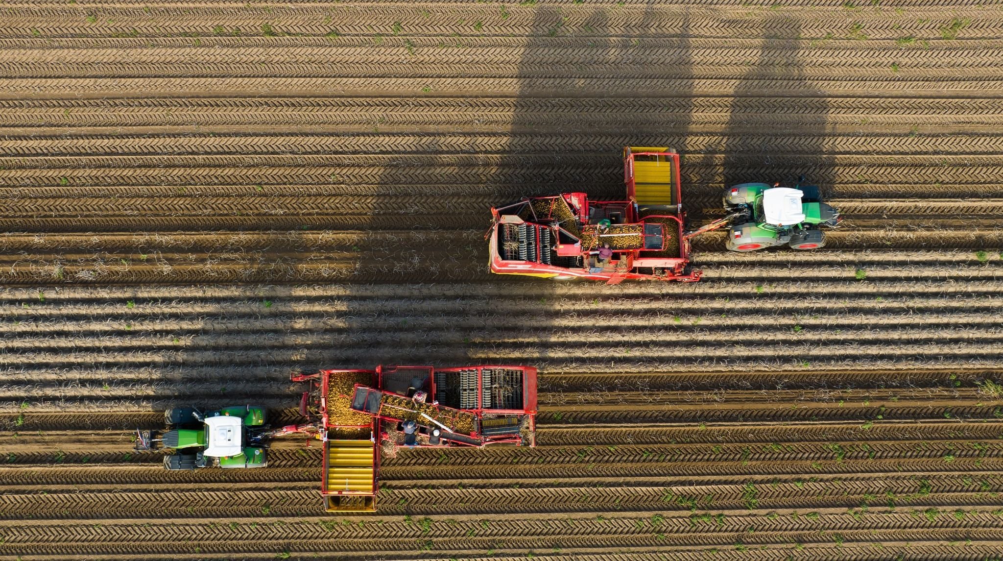 Wie die Landwirtschaft in Polen funktioniert