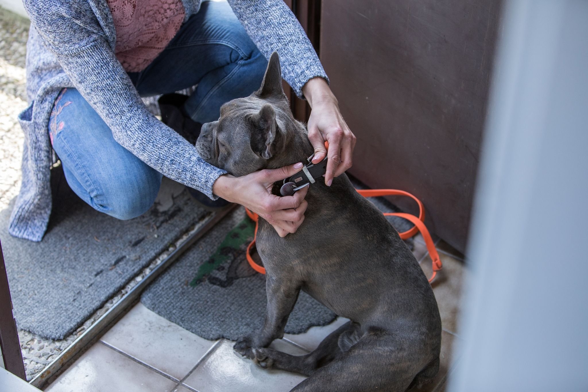 In dieser Stadt müssen Hunde jetzt an die Leine