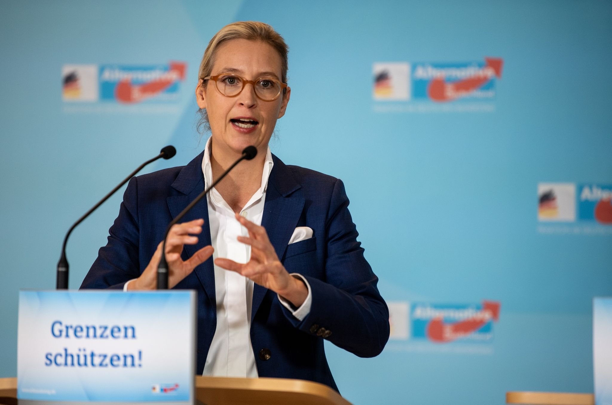 AfD-Vorsitzende Weidel Sieht „Dexit“-Referendum Als Plan B