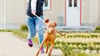 Hund reißt sich los – Halter muss mehr als 8500 Euro zahlen