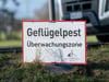 Vogelgrippe erneut auf Insel Rügen ausgebrochen