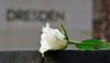 Eine weiße Rose als Symbol der Erinnerung auf dem Heidefriedhof.