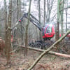 Gefährliche Bäume gefällt – Holzernte-Maschine hinterlässt große Lücken