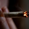 Cannabis-Legalisierung: MV-Häftlinge sollen frei kommen