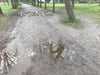 Bei Regen ist beliebter Weg in Teterow fast unpassierbar