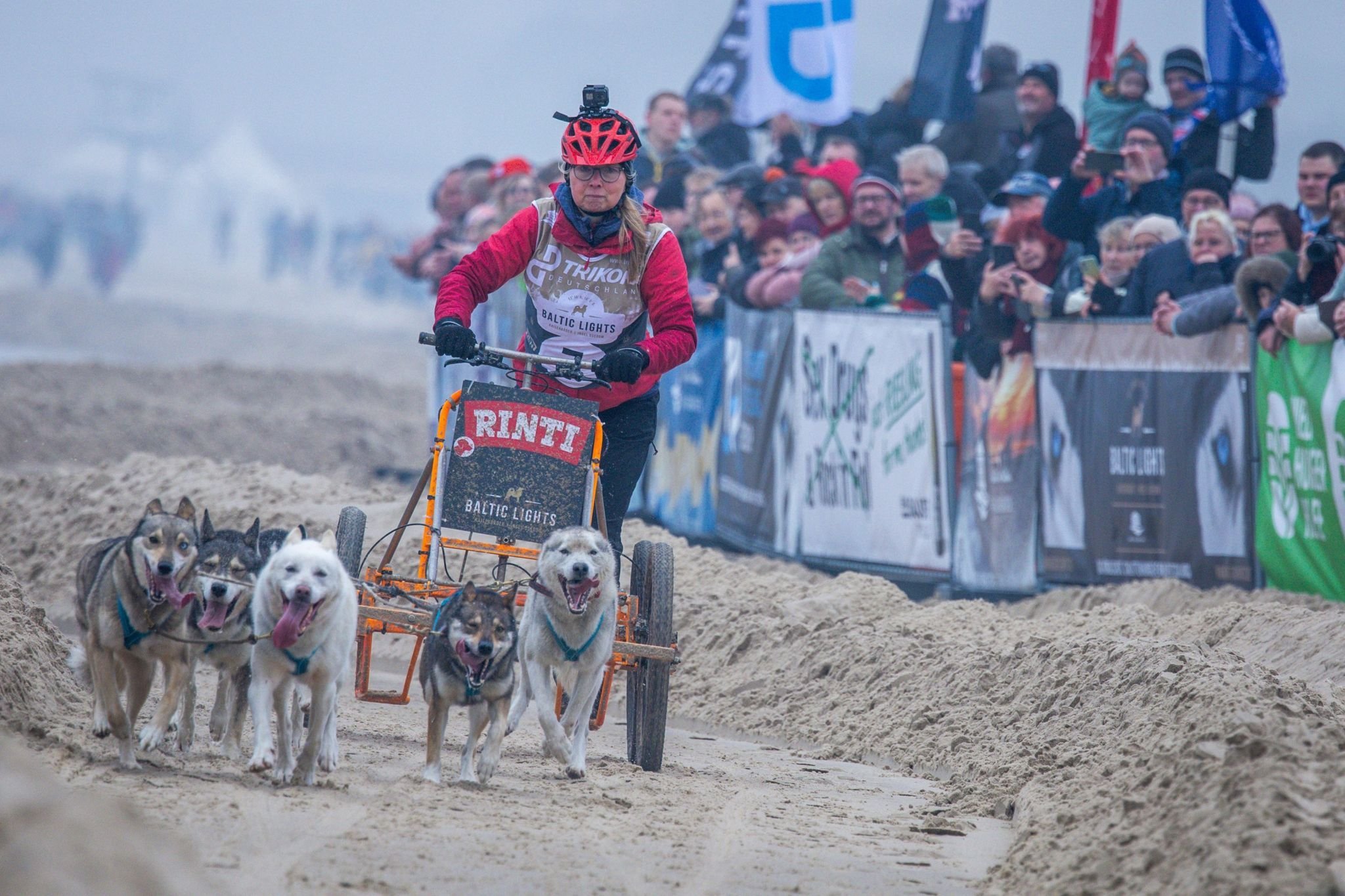  Diese Promis siegen beim Schlittenhunde-Rennen auf Usedom Motiv 