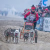 Diese Promis siegen beim Schlittenhunde-Rennen auf Usedom