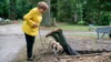 Angela (Katharina Thalbach) und Mops „Helmut“ finden auf einem Friedhof eine Leiche. Der neue „Miss Merkel“-Krimi wird am Dienstag auf RTL ausgestrahlt.