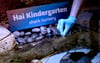 Aquaristin Undine Riemer füttert bei einem Pressetermin im Sea Life Berlin die frisch geschlüpften Katzenhaie.