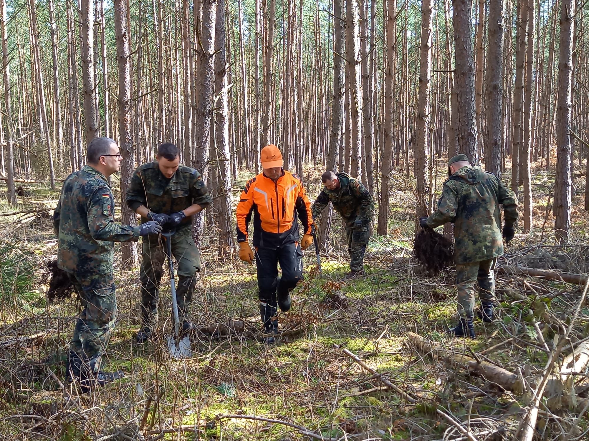 Bundeswehrsoldaten Helfen Mit Pflanzaktion Beim Waldumbau