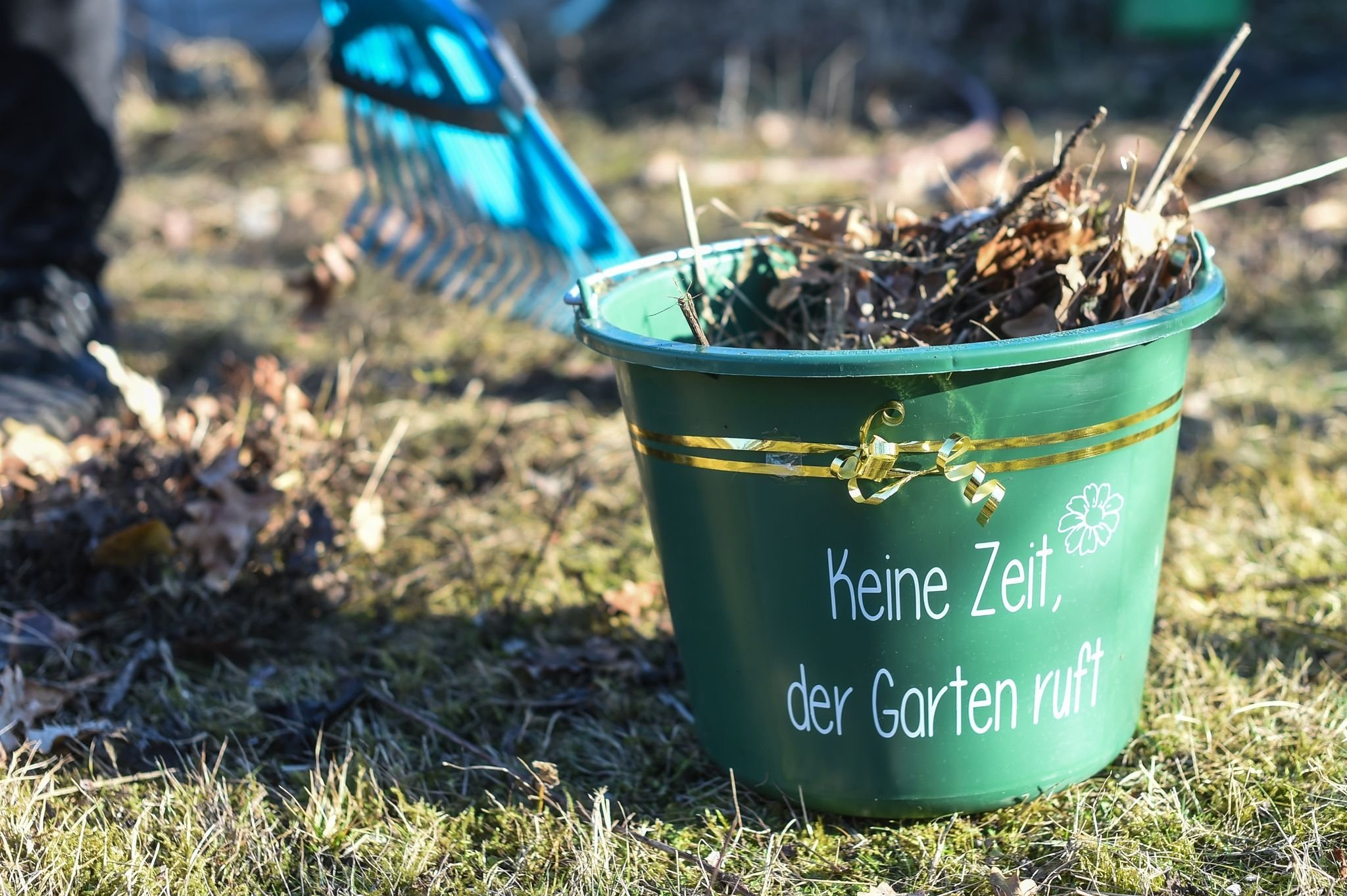 Ab ins Beet Gärtner können UrinDünger testen