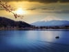 Japanische Stadt lässt den Fuji wegen Touristen verschwinden