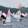 Plauer Segler erwarten knapp 200 Boote zum 19. Opti-Cup in der Seestadt