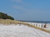 Von Oktober 2023 bis April 2024 wurde auf einer Länge von sechs Kilometern der Zingster Strand in den Abschnitten 2 bis 21 aufgespült. Aktuell werden die neu aufgespülten Dünenkronen und -böschungen mit Strandhafer bepflanzt.