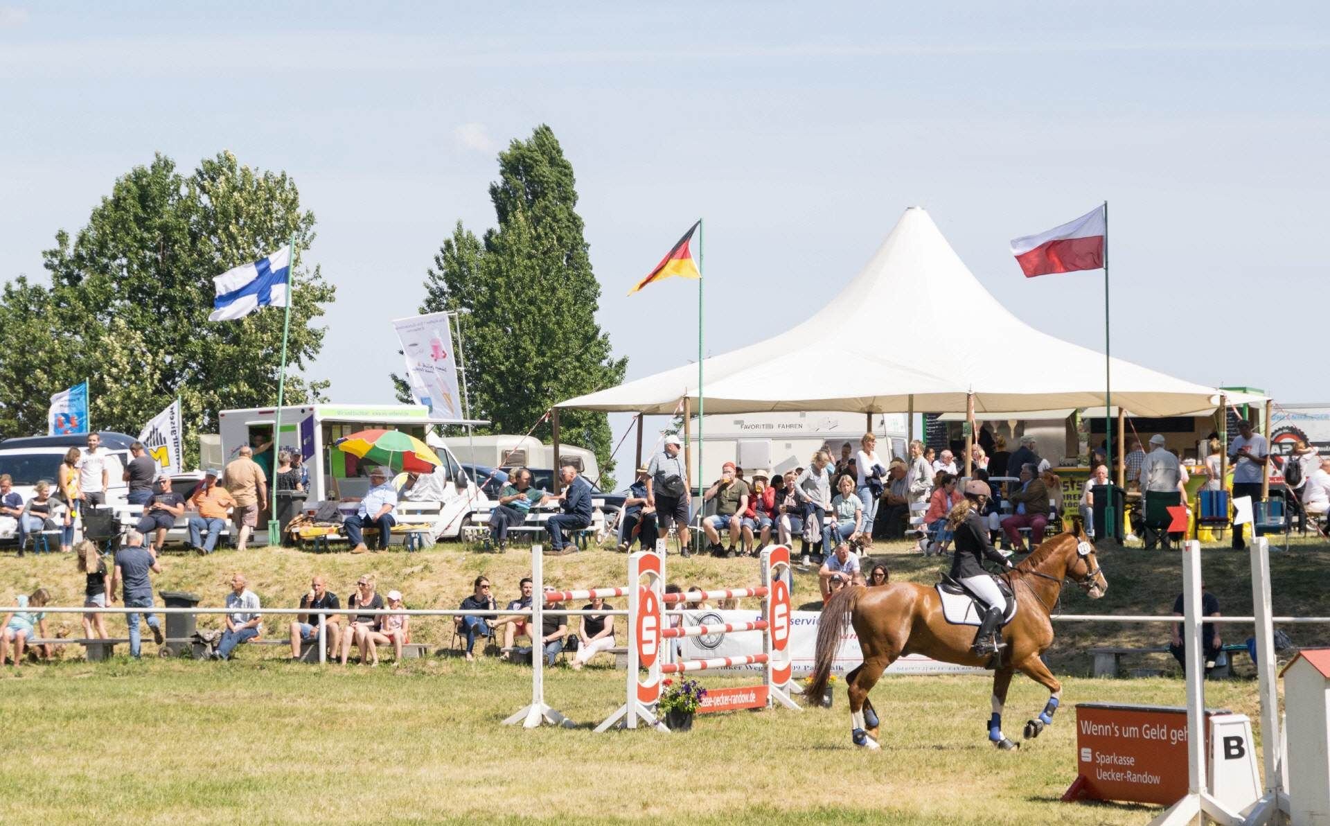 Pferdefreunde aufgepasst! Pfingstturnier erlebt 64. Auflage in Pasewalk