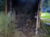 Toilettenhäuschen in Rostock Toitenwinkel nach Brand zerstört