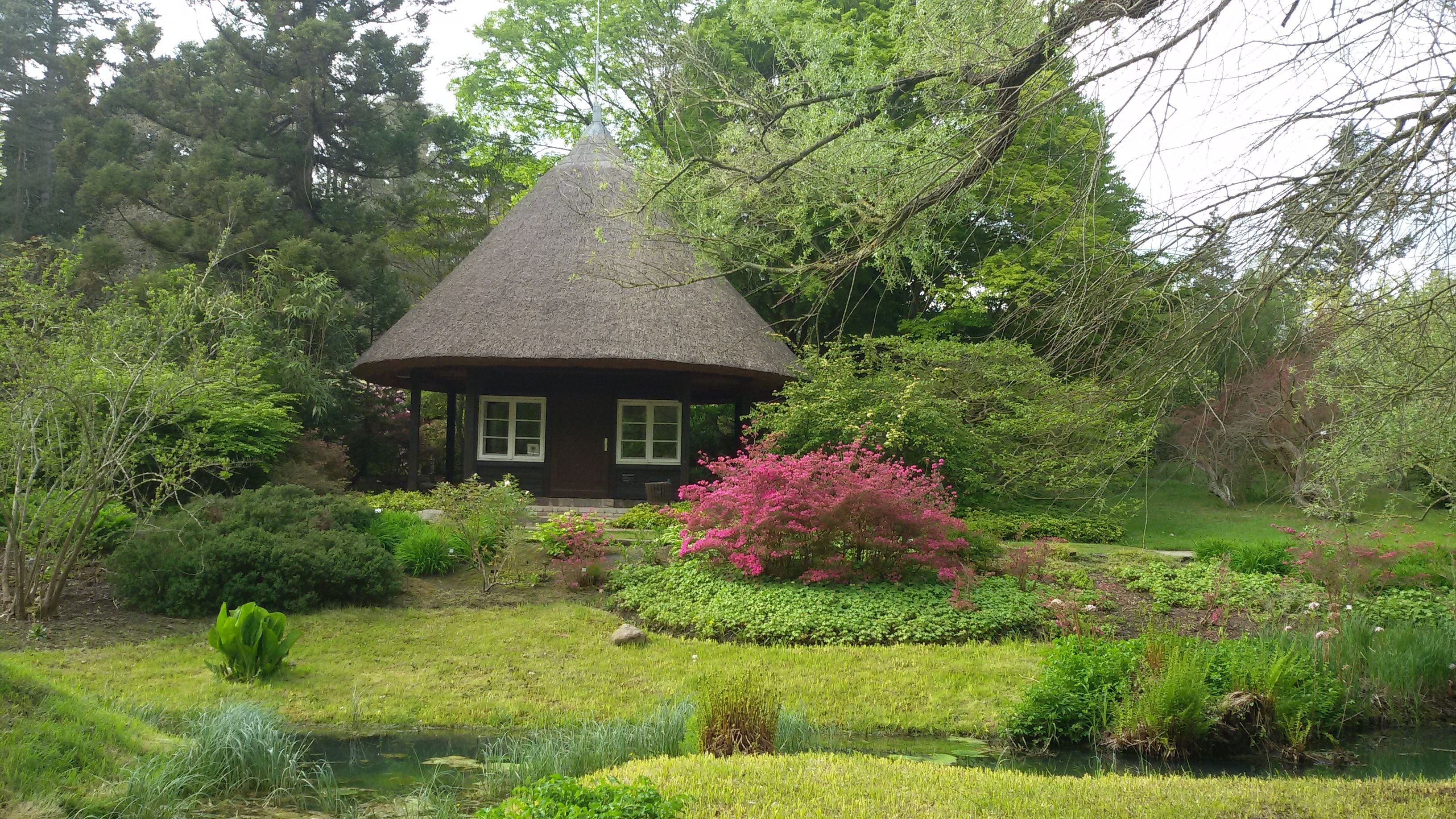 Lyrik trifft auf Pflanzen im Botanischen Garten in Rostock