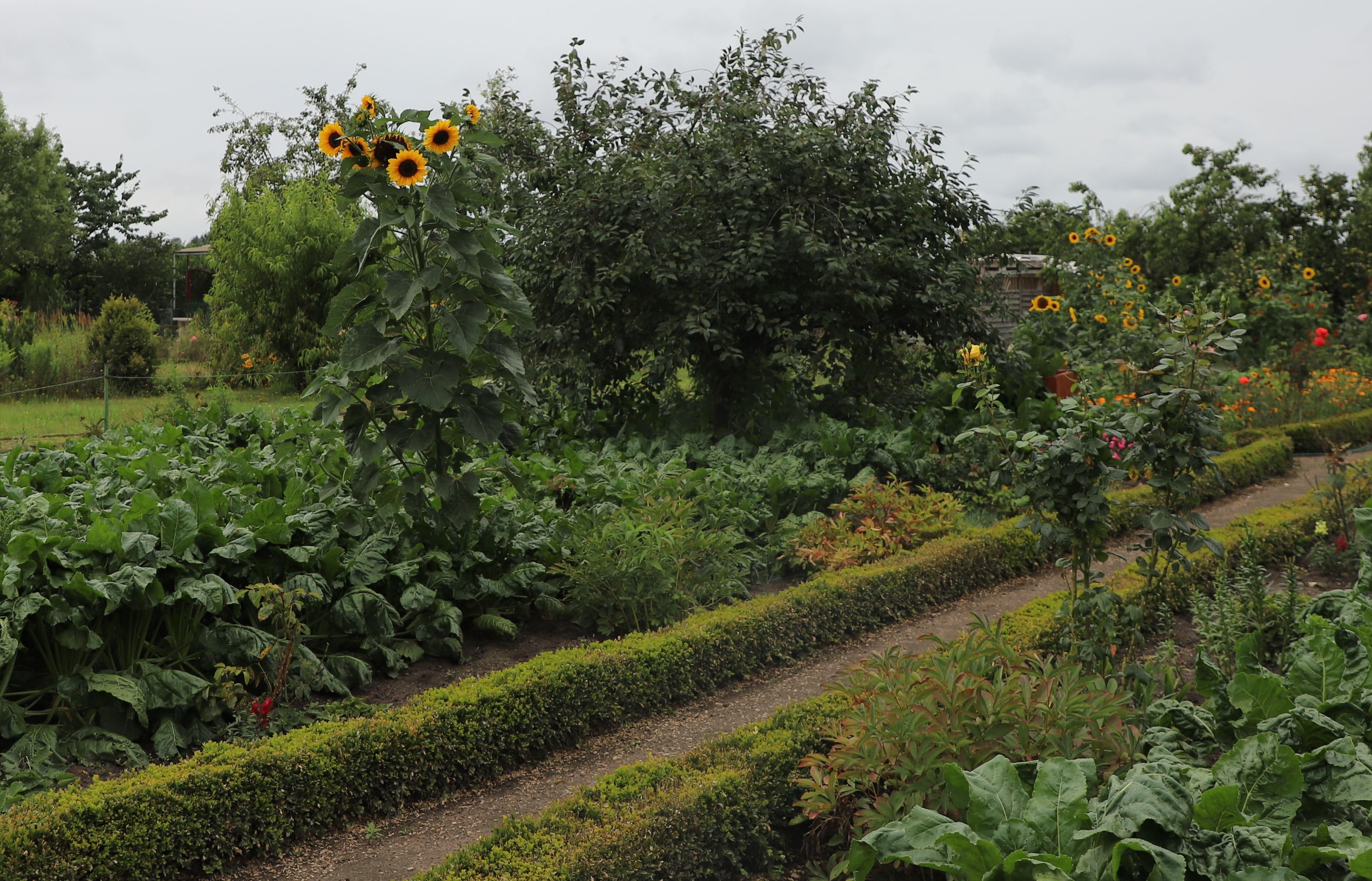 In dieser Gartenanlage sind Parzellen zu vergeben