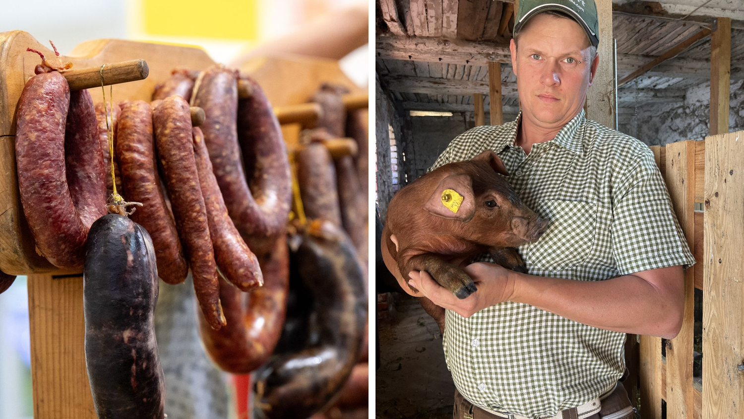 Lust auf Hausmacher-Wurst? Bauer bietet Schweine-Leasing an