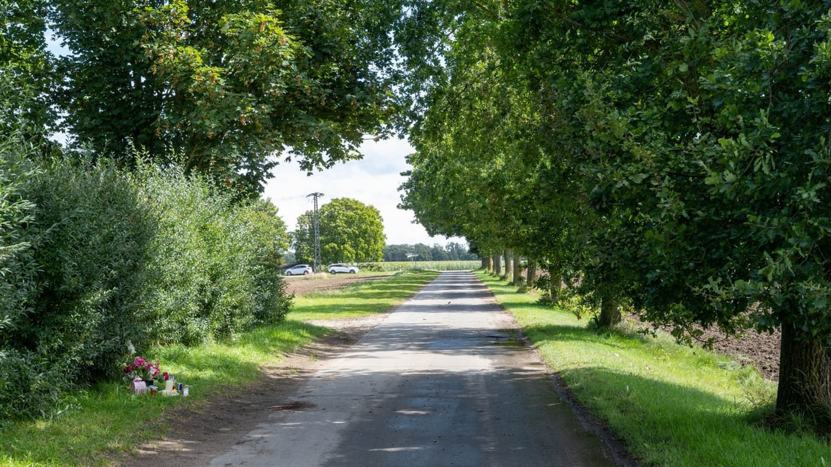 Young rider (14) killed in accident on Rügen: Serious charges against ...