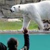 Neue Tiere, neue Attraktionen: So lockt der Rostocker Zoo die Besucher an