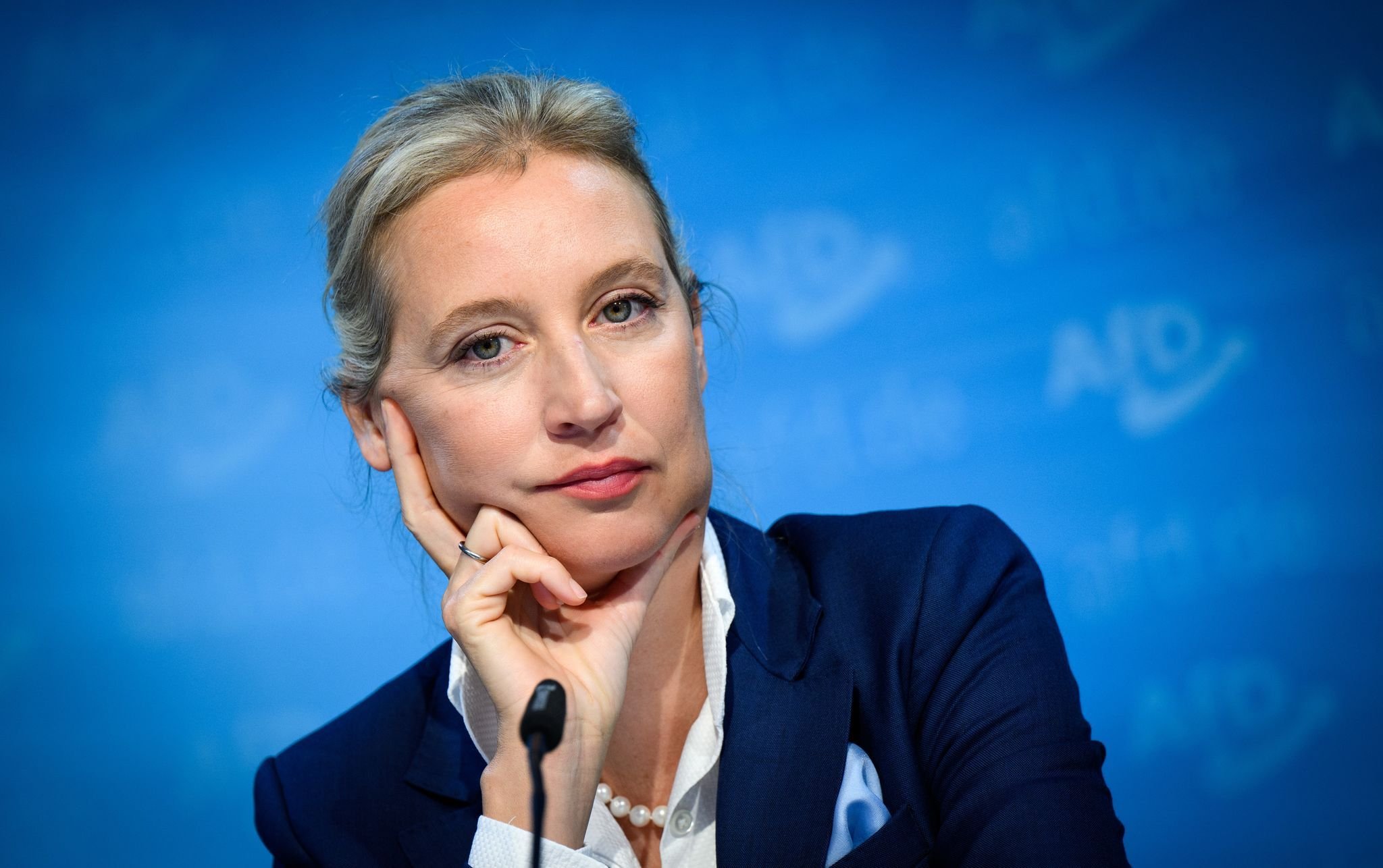 Weidel Soll AfD-Kanzlerkandidatin Werden