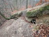 Strahlen aus dem Weltall helfen beim Ergründen einer uralten Knochenhöhle