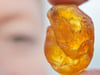 Alles rund um Bernsteine: Eine Woche voller Gold der Ostsee