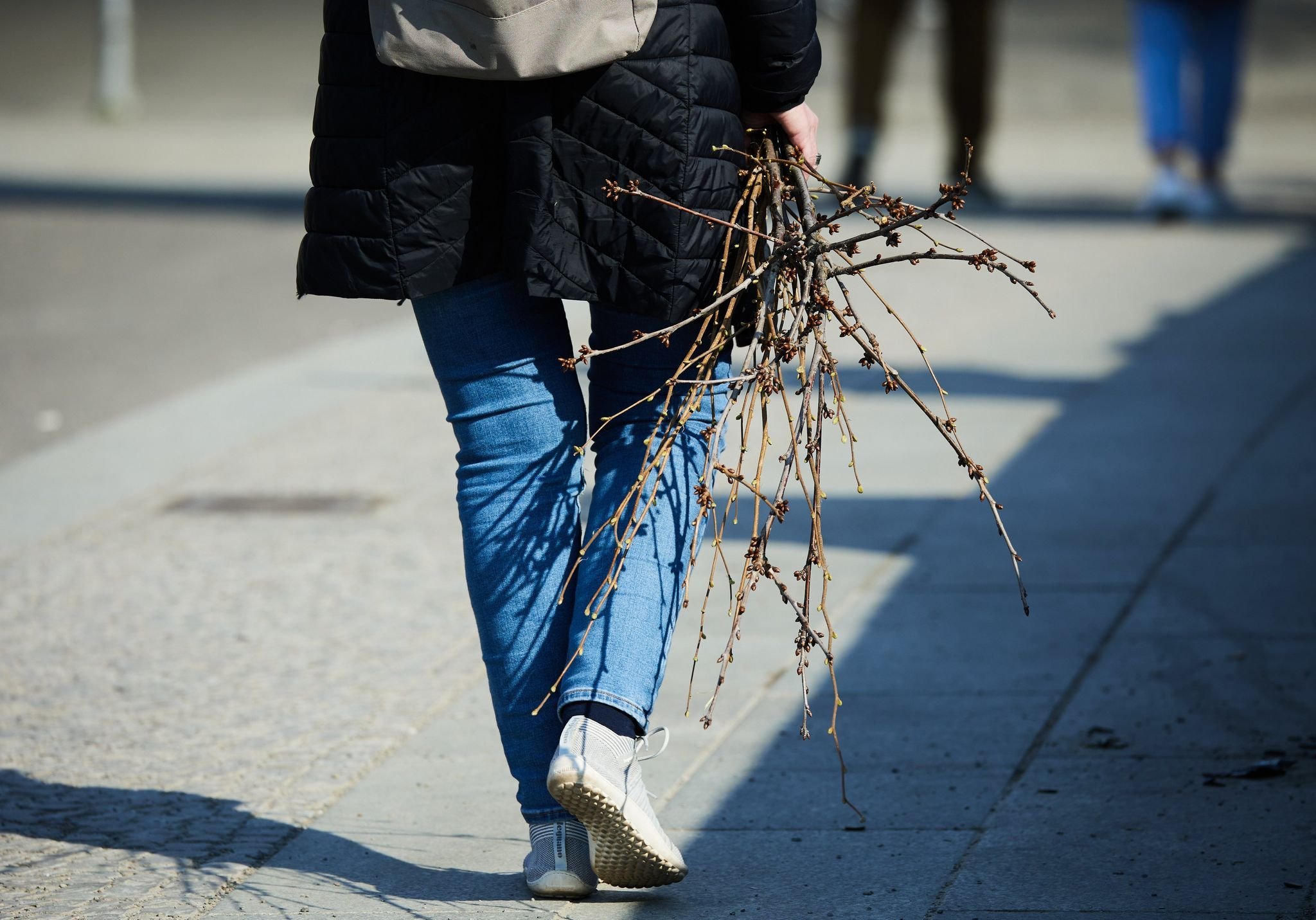 Frühling in Berlin und Brandenburg wird kühler