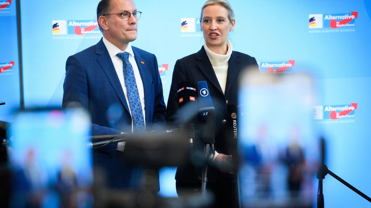 USA threatens over AfD: No more secret service information for Germany - | ...