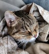 Lilly durfte sogar mit in den Urlaub fahren.