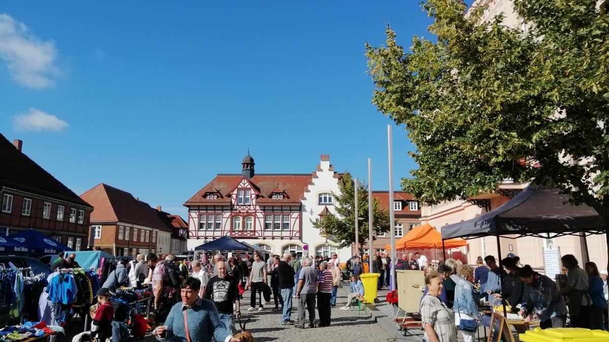 Das steckt hinter der Flohmarkt-Begeisterung in Mecklenburg-Vorpommern
