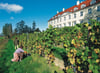 Mit 180 Meter sind die Helpter Berge die höchsten Erhebungen in Mecklenburg-Vorpommern und ehrlicherweise eher kleine Naturwunder. Unweit dieser Hügel befindet sich auf Schloss Rattey ein überregional bekanntes Weingut.