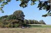 Blick auf den Mühlenberg bei Silz, von dem ein beträchtlicher Teil durch den Kalkabbau verschwand.