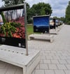 Auf insgesamt 22 großformatige Foto-Tafeln schmücken derzeit den Kulturpark Neubrandenburg.