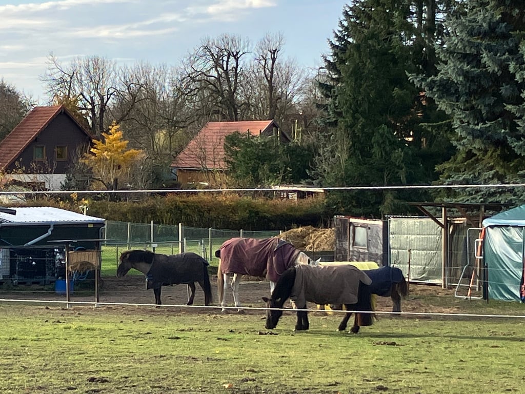 d538dd22-98e4-4fcc-85ea-09953133169b.jpg?rect=1523,507,2276,1707&w=1024&auto=format