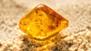 Das Gold der Ostsee: 6 interessante Fakten über Bernstein