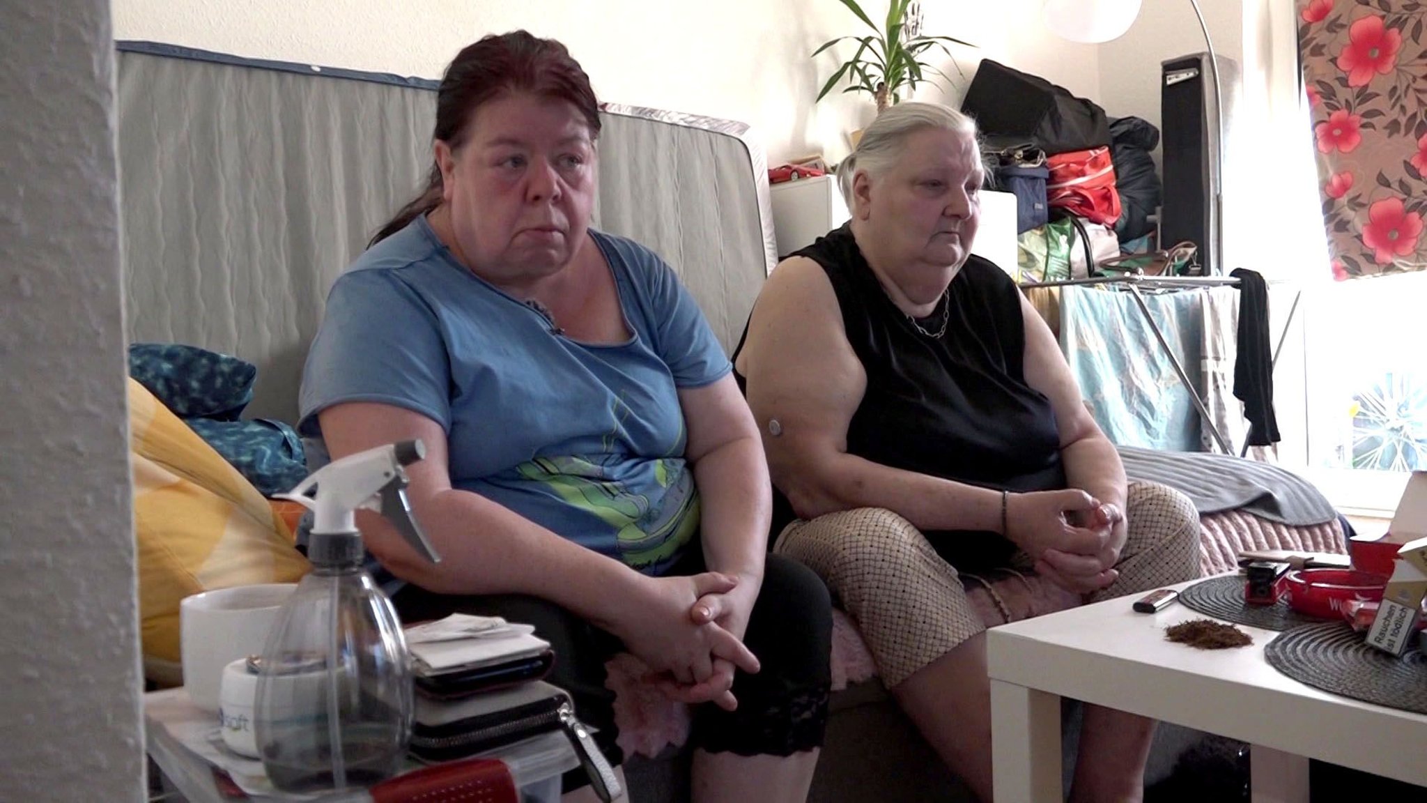 Eisattraktion für die ganze Familie: Karls präsentiert Mini-AIDA